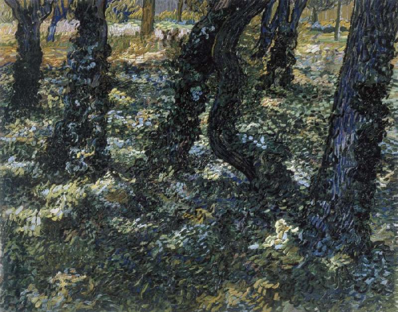 Vincent Van Gogh Undergrowth